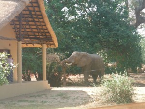 By one of the lodges