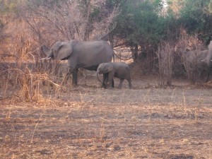 Mother and baby eating