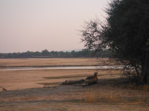 DSCF2776