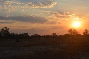 Sunset!