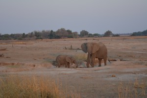 Mother and her baby