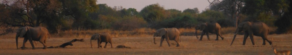 cropped-DSCF2670.jpg
