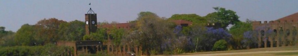 cropped-wpid-wp-1412191303178.jpeg