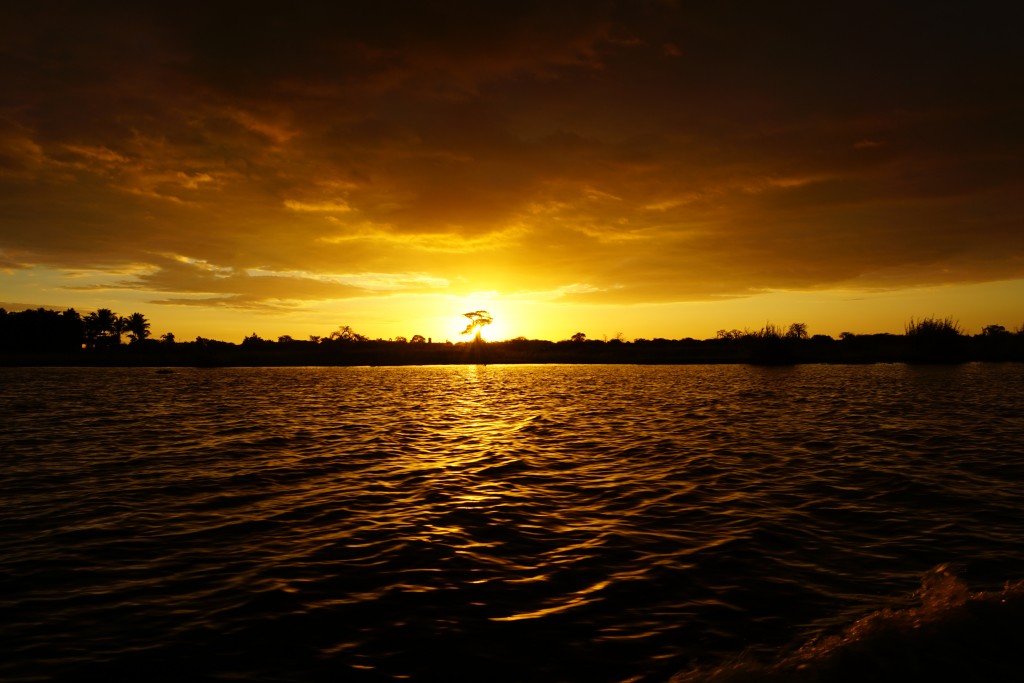 Sunset over the Shire River