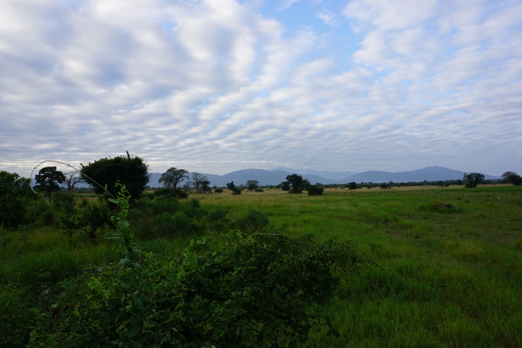 DSC00317