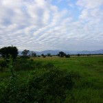 DSC00317