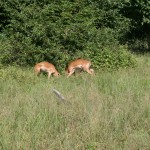 IMG_1565