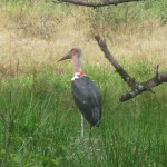 Big Crane