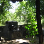Kitchen Range