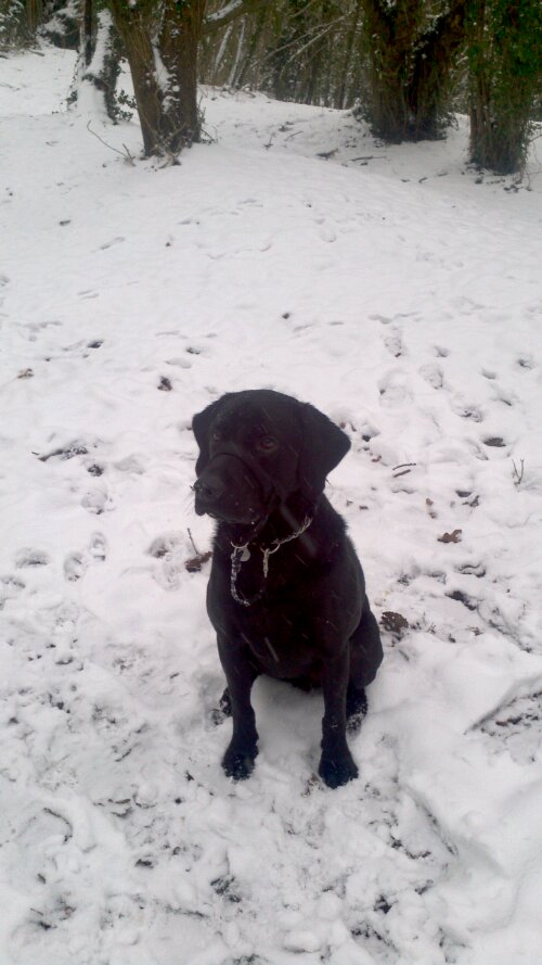 2013-01-20_09-52-18_508.jpg image
