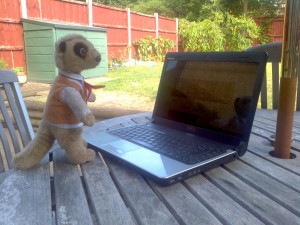 wpid-2013-07-26_09-35-17_168.jpg