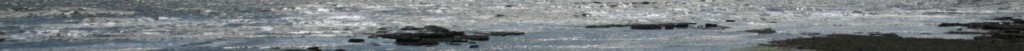 cropped-IMG_0969_trim.jpg
